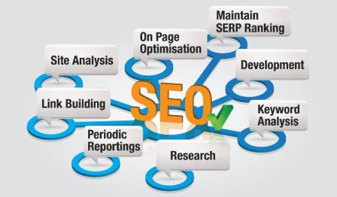 How To Find Reliable SEO Experts India