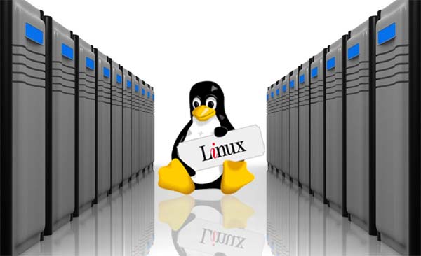Reasons for Choosing Linux Hosting