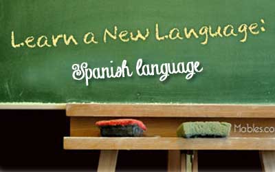 Discover Top 10 Key Points Before Learning A Language