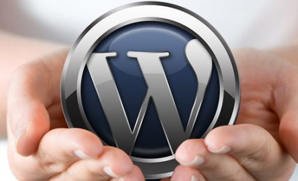 Why Using Wordpress Framework Is Better Than Others?