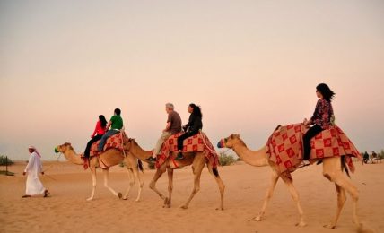 A Dubai Trip Cannot Be Complete Without The Morning Safari Dubai