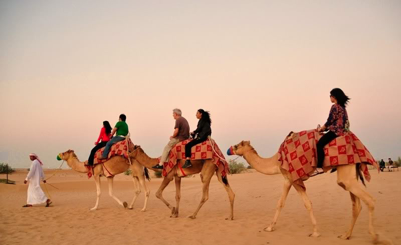 A Dubai Trip Cannot Be Complete Without The Morning Safari Dubai