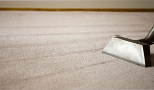 Dummies Guide To Keep Carpets Clean