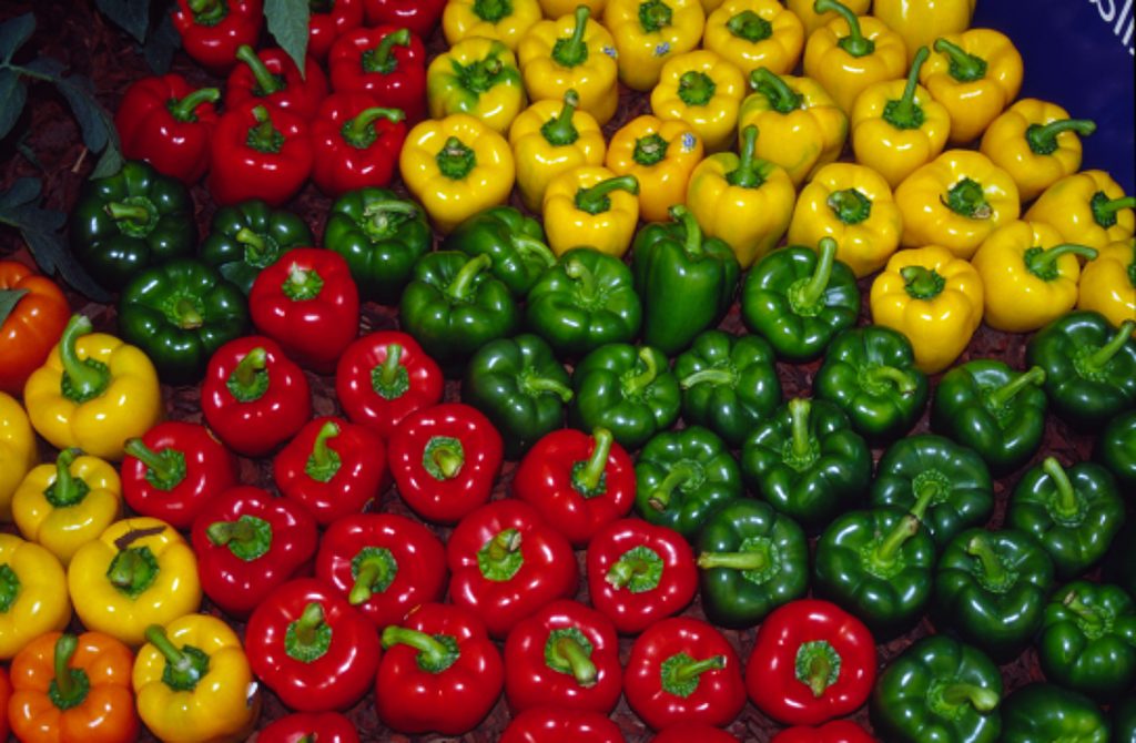 Why We Need To Eat Capsicum - Here Are The Reasons....