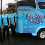 What San Diego Mobile Groomers Do Different and Better