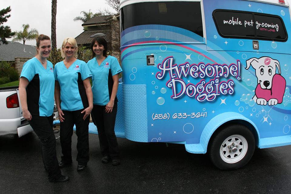 What San Diego Mobile Groomers Do Different and Better