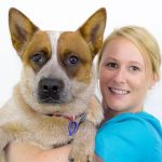 Digital Radiography Benefits For Your Veterinary Practice