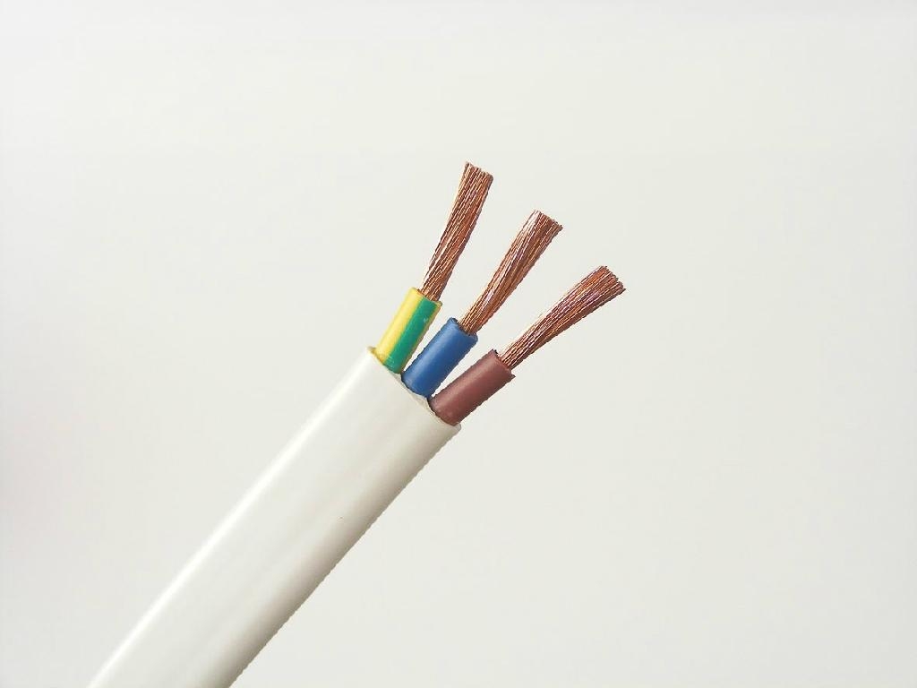 Must-Have Features Of Your Electrical Cable Suppliers