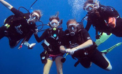 Enjoy The Adventurous Diving In The Waters Of Koh Tao