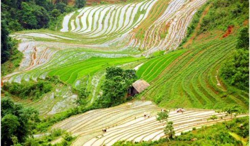 Best Itinerary In North Vietnam For 6 Day Tour
