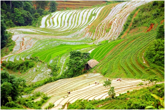 Best Itinerary In North Vietnam For 6 Day Tour