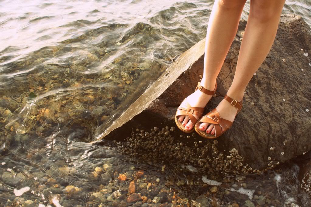 Saltwater on sale womens sandals