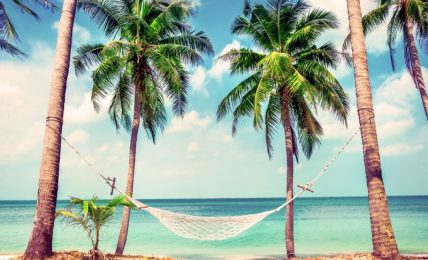 3 Reasons You Need A Vacation