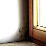 How To Keep Mold Away from Your Attic