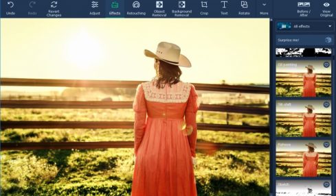 Movavi Photo Editor For Mac Review